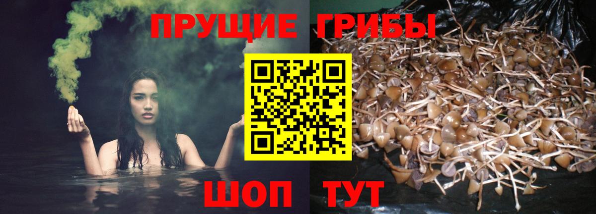 Галлюциногенные грибы Magic Shrooms Скопин
